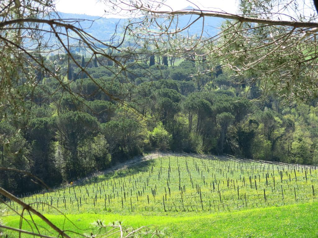 Agriturismo Il Palagetto Pomarance Kültér fotó