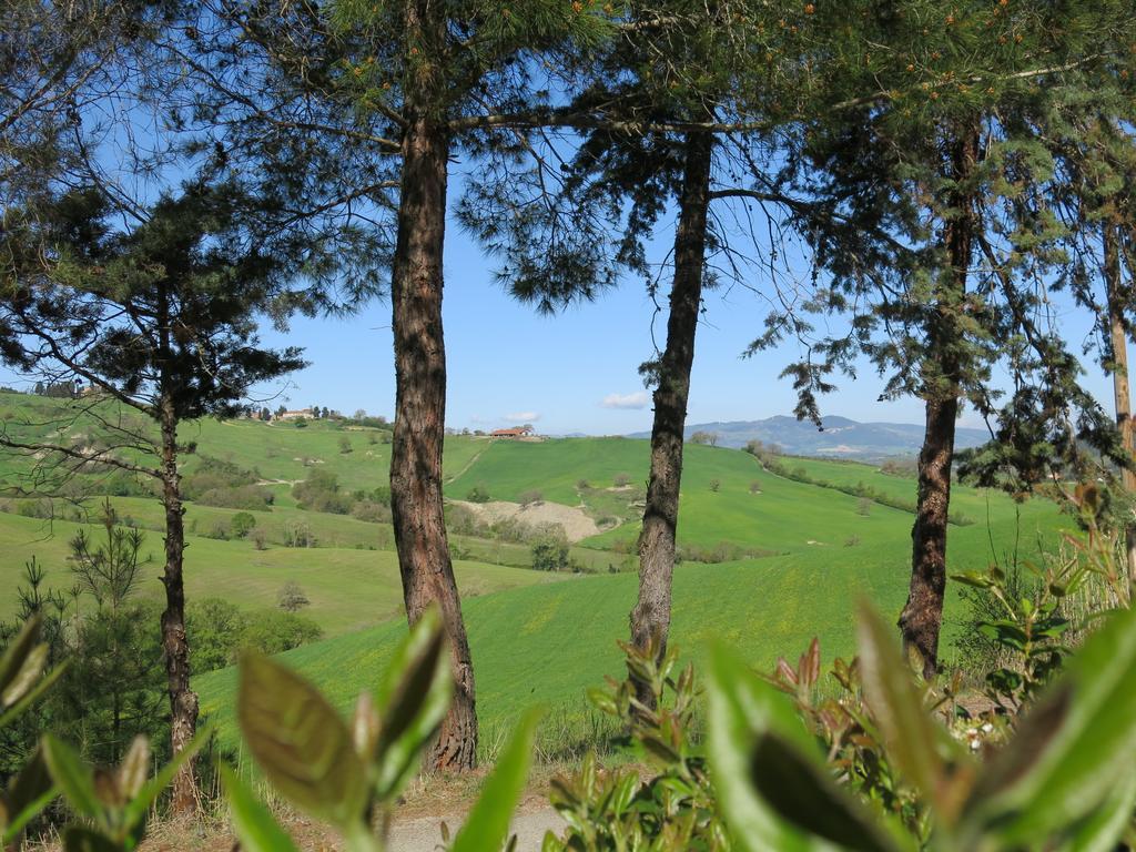 Agriturismo Il Palagetto Pomarance Kültér fotó