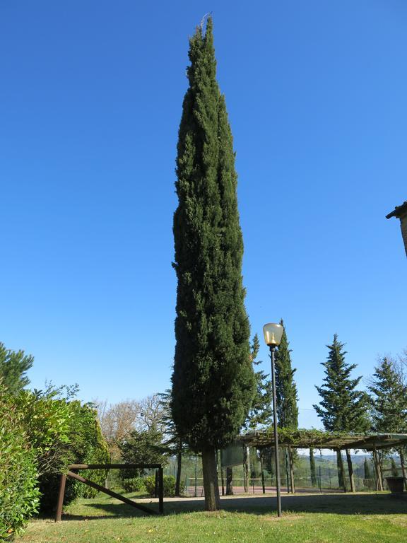 Agriturismo Il Palagetto Pomarance Kültér fotó