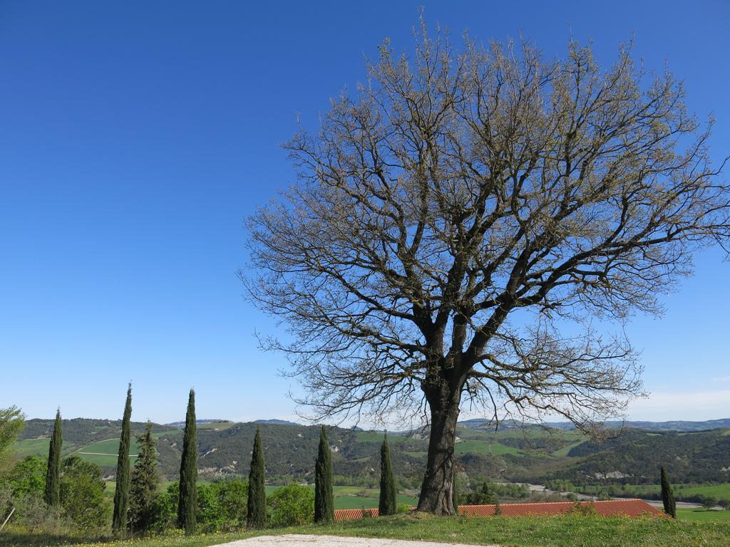 Agriturismo Il Palagetto Pomarance Kültér fotó